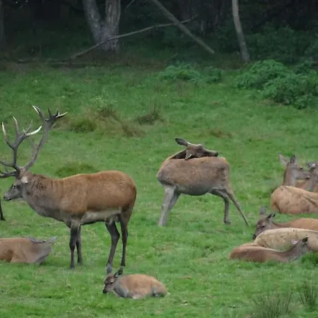 Le Repaire De Camille - Loft Dom wakacyjny