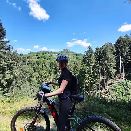 Le Repaire De Camille - Loft * Birkenwald