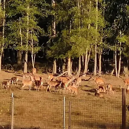 Le Repaire De Camille - Loft